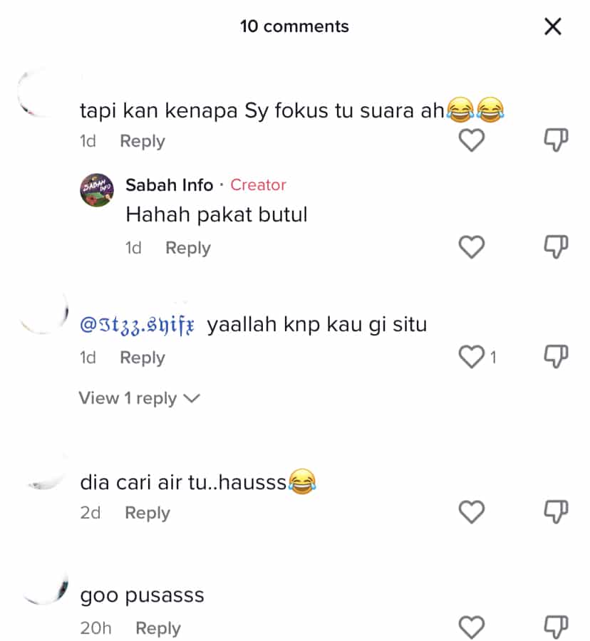 Seekor Babi Gemuk Terlepas Di Petronas, Kota Belud