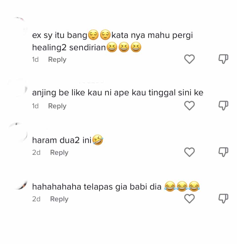 Seekor Babi Gemuk Terlepas Di Petronas, Kota Belud