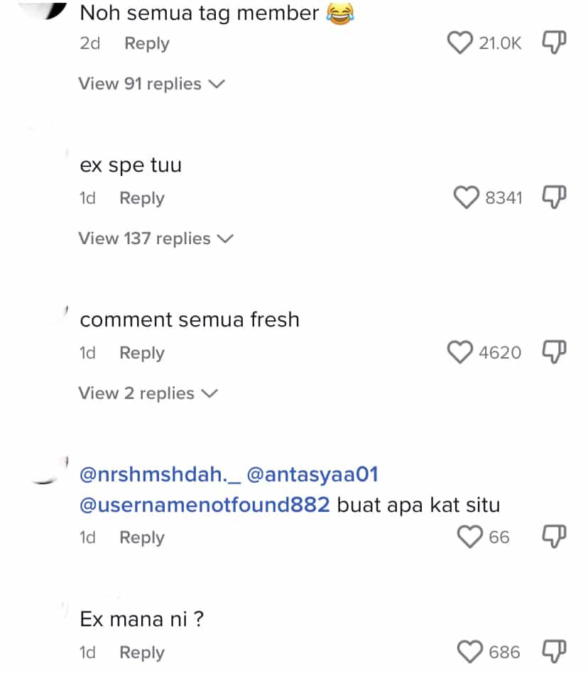 Seekor Babi Gemuk Terlepas Di Petronas, Kota Belud