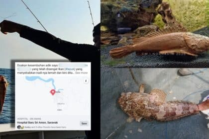 Ketahui Ikan Lepu, Spesis Ikan Beracun Yang Digeruni Dalam Dunia Pemancing