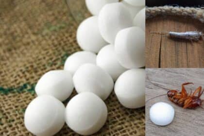 Rupa-Rupanya Bukan Untuk Halau Lipas, Ini Penggunaan Sebenar Ubat Gegat