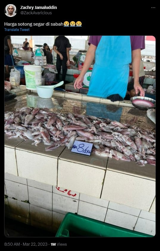 'Semenanjung Can't Relate', Harga Sotong Di Sabah Ini Jadi Tumpuan Netizen