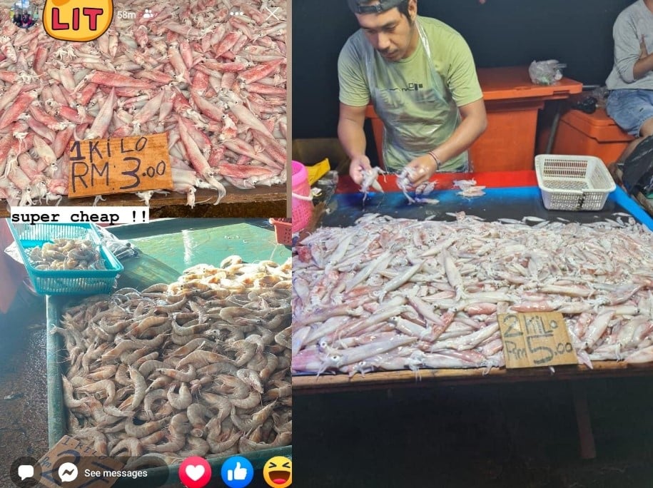 'Semenanjung Can't Relate', Harga Sotong Di Sabah Ini Jadi Tumpuan Netizen