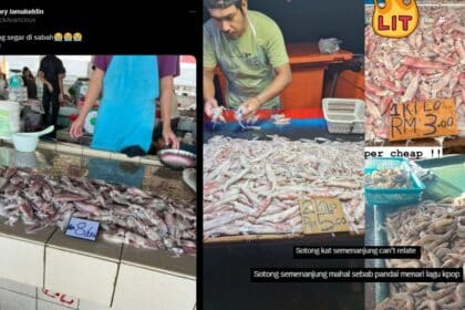 'Semenanjung Can't Relate', Harga Sotong Di Sabah Ini Jadi Tumpuan Netizen