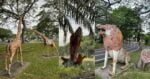 Sudah Pudar, Netizen Berharap 'Statue' Haiwan Di Taman Bulatan Miri Diberi Warna Baru