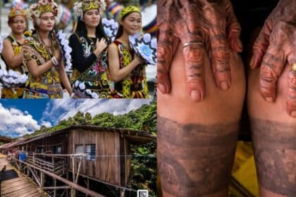 Tidak Lagi Digunakan, 4 Bahasa Asli Di Sarawak Kini Pupus