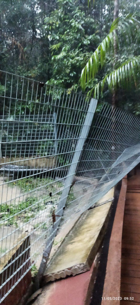 Buaya 10 Dan 16 Kaki Lepas Di Matang Wildlife Centre, Orang Ramai Diminta Berhati-Hati
