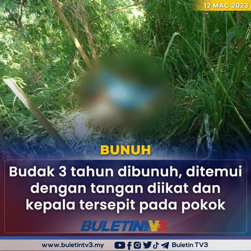 Tangan Diikat Kepala Disepit Celah Pokok, Kanak-Kanak 'Palauh' Disyaki Dibunuh Kejam Penagih Dadah