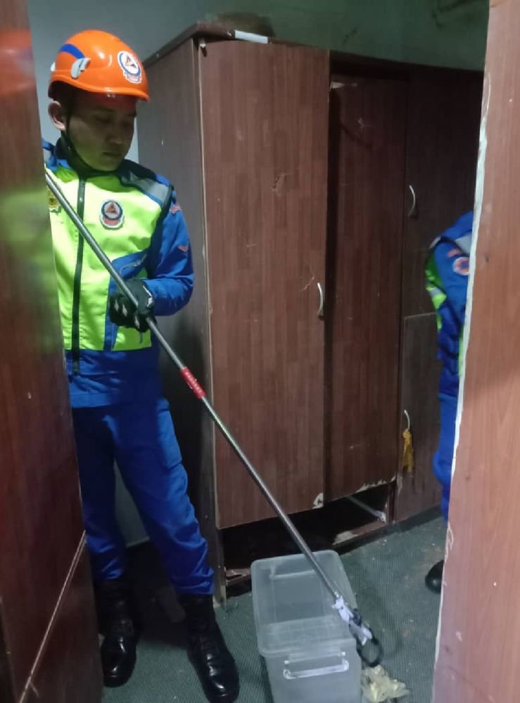 Sekeluarga Terkejut, Ular Tedung Sembunyi Belakang Almari