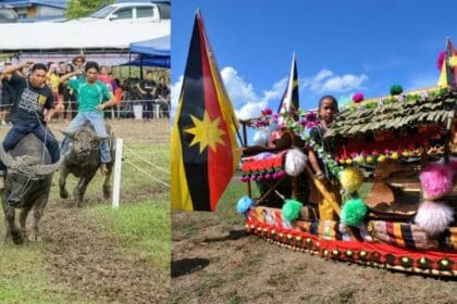 Ada Lumba Kerbau, Pesta Babulang Limbang Dijangka Lebih Meriah Tahun Ini