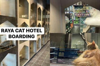 Beraya Dengan Tenang, Raya Cat Hotel Miri Tawar 'Hotel Kucing' Buat Si Bulus Anda