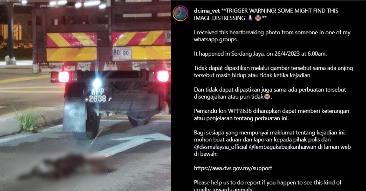 Kejam! Seekor Anjing Dirantai Dan Diseret Guna Lori Tular Di Sosial Media