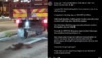 Kejam! Seekor Anjing Dirantai Dan Diseret Guna Lori Tular Di Sosial Media