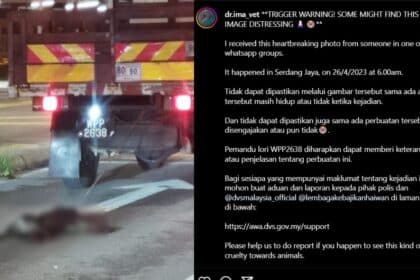 Kejam! Seekor Anjing Dirantai Dan Diseret Guna Lori Tular Di Sosial Media