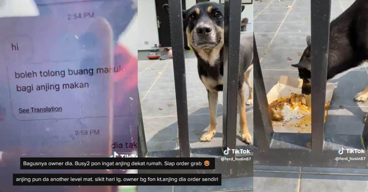 Owner Sibuk Kerja, Pesan Abang Grab Tolong Bagi Makan Anjing Peliharaan Raih Perhatian Netizen