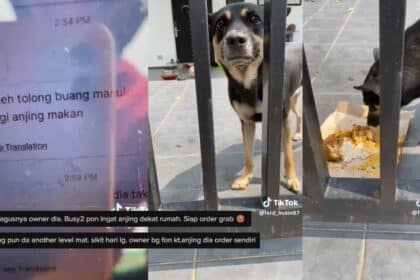 Owner Sibuk Kerja, Pesan Abang Grab Tolong Bagi Makan Anjing Peliharaan Raih Perhatian Netizen