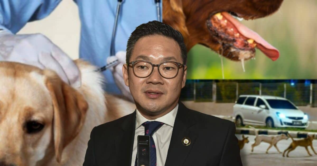Sarawak Masih Hadap Wabak Rabies, Pemilik Anjing Dikenakan Denda Jika Tidak Divaksin