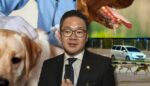 Sarawak Masih Hadap Wabak Rabies, Pemilik Anjing Dikenakan Denda Jika Tidak Divaksin