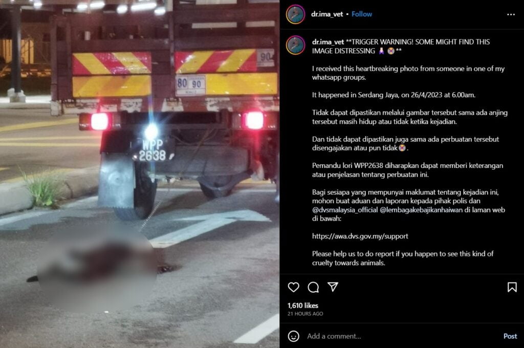 Kejam! Seekor Anjing Dirantai Dan Diseret Guna Lori Tular Di Sosial Media