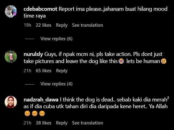 Kejam! Seekor Anjing Dirantai Dan Diseret Guna Lori Tular Di Sosial Media