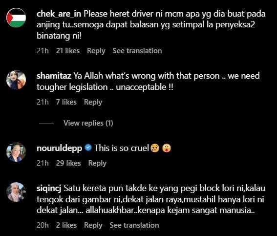 Kejam! Seekor Anjing Dirantai Dan Diseret Guna Lori Tular Di Sosial Media