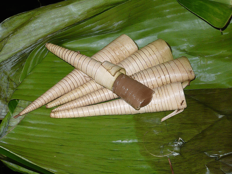 Dibaluti Daun Nipah, Ketahui Kuih Tradisional Unik Kegemaran Rakyat Sarawak 'Celorot'