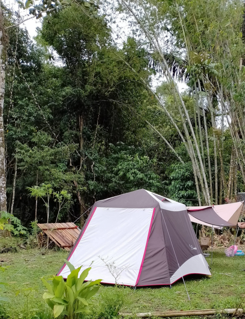 Boleh Piknik, Camping Dan BBQ, Subee Homestay Di Bau Tawar Percutian Menarik Untuk Anda