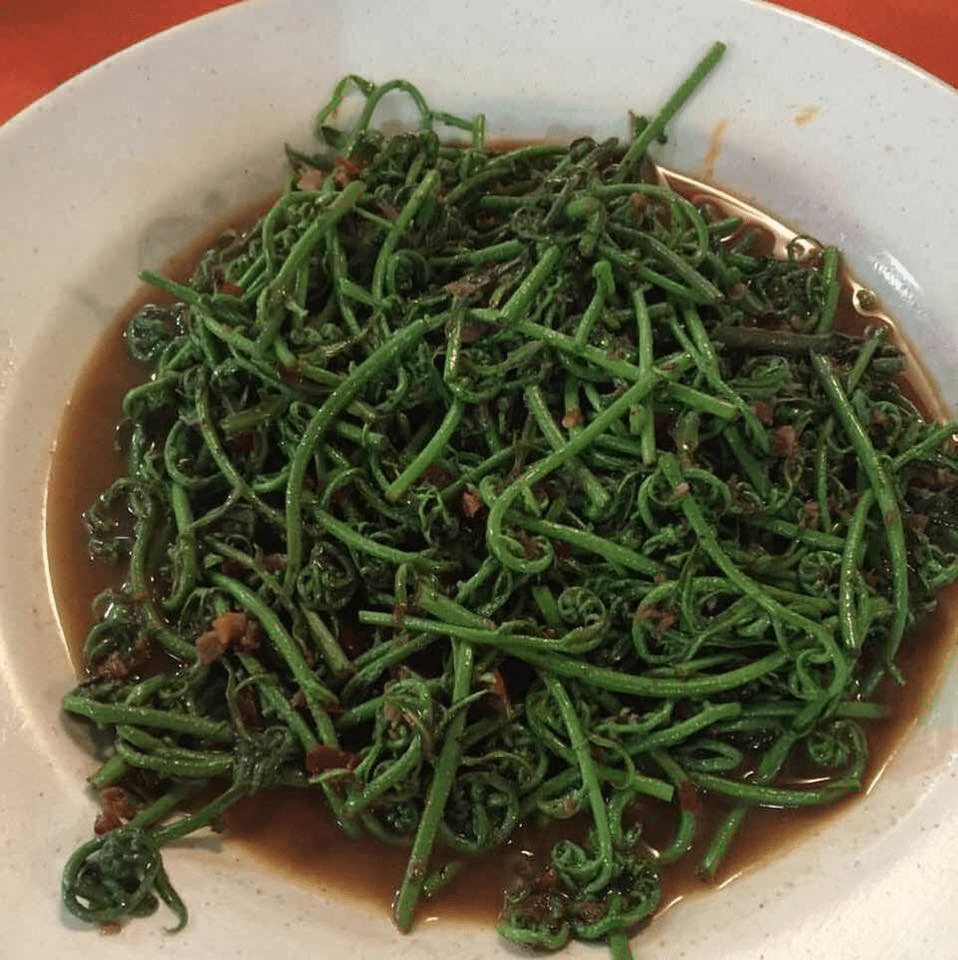 Sedap Dimasak Bersama Belacan, Ketahui 5 Kebaikan 'Midin' Sarawak
