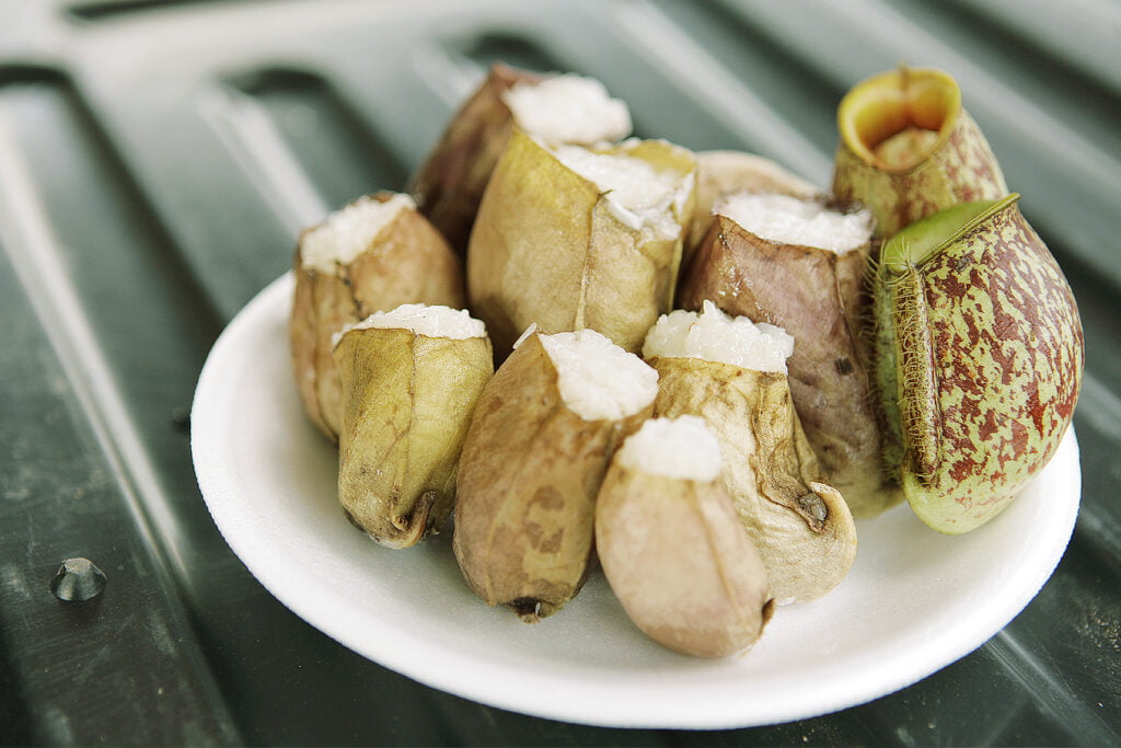 Hidangan Tradisional Yang Popular, Ketahui Ada 5 Jenis Lemang Yang Unik Di Malaysia
