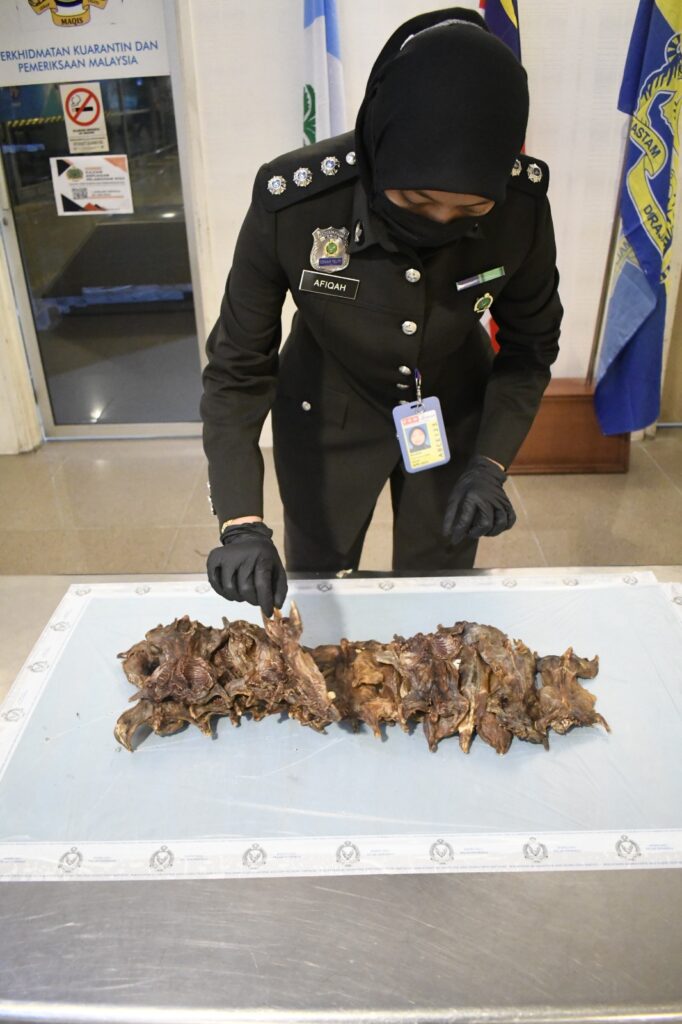 Warga Vietnam Cuba Seludup Masuk Tikus Salai Ke Dalam Malaysia Berjaya Ditumpas