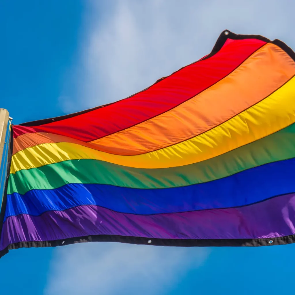 Ahli Parlimen Cadang Komuniti LGBT Dikategorikan Sebagai Pesakit Mental