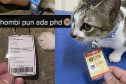 Ada PhD Dalam Bidang Bahasa 'Meow', Netizen Terhibur Lihat Kucing Peliharaan Uni Malaysia Ini