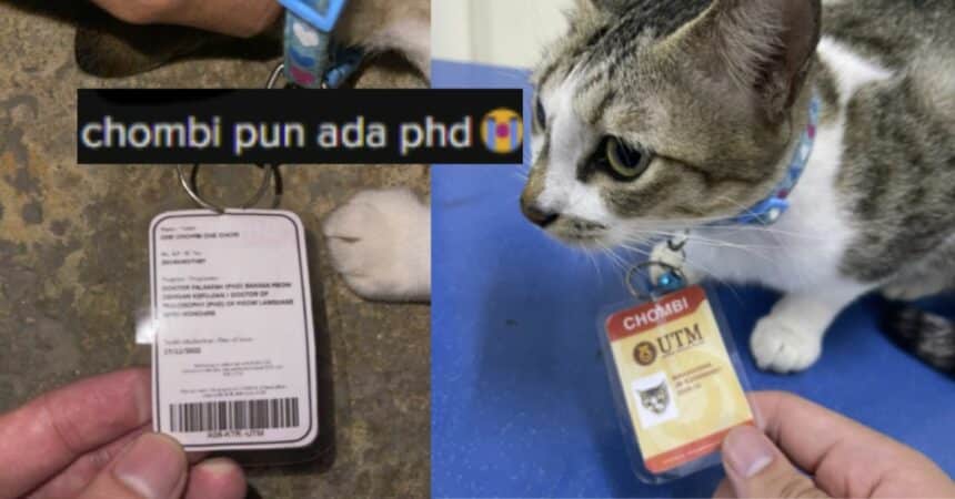 Ada PhD Dalam Bidang Bahasa 'Meow', Netizen Terhibur Lihat Kucing Peliharaan Uni Malaysia Ini