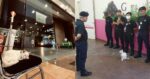 'Briefing Disampaikan Oleh Tuan Hassan', Gelagat Kucing Viral Di Plaza Merdeka Buat Netizen Terhibur