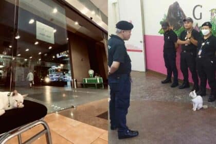 'Briefing Disampaikan Oleh Tuan Hassan', Gelagat Kucing Viral Di Plaza Merdeka Buat Netizen Terhibur