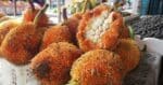 Digelar Milkshake Sarawak, Kenali Buah Pedalai Persis Tarap Yang Manis Dan Berkrim