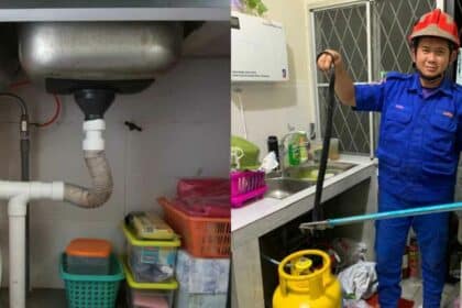 Hajat Ke Tandas Terbantut, Lelaki Di Miri Terkejut Temui Ular Tedung Hitam Bawah Singki