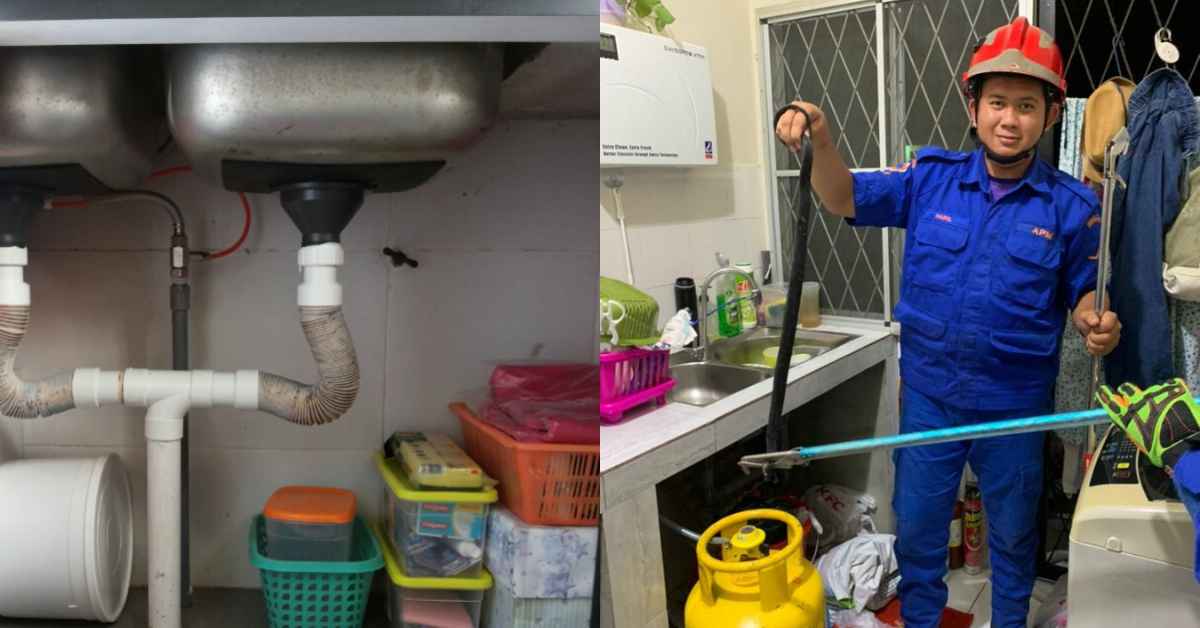 Hajat Ke Tandas Terbantut, Lelaki Di Miri Terkejut Temui Ular Tedung Hitam Bawah Singki