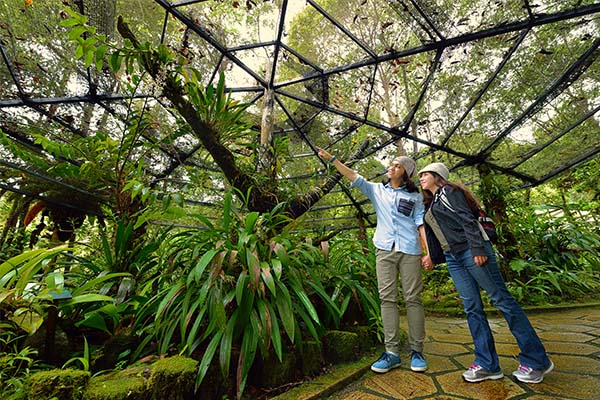 20 Tempat Menarik Di Kota Kinabalu Yang Mesti Anda Kunjungi