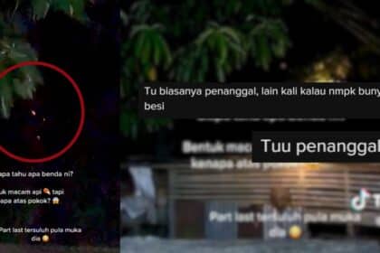 Lelaki Ini Rakam Entiti Misteri Atas Pokok Di Sabah, Netizen Dakwa Ia 'Penanggal'