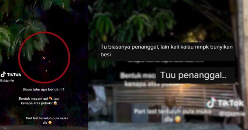 Lelaki Ini Rakam Entiti Misteri Atas Pokok Di Sabah, Netizen Dakwa Ia 'Penanggal'