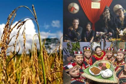 Perayaan Budaya Sarawak Dan Sabah, Ini Perbezaan Ringkas Antara Pesta Kaamatan Dan Gawai Dayak