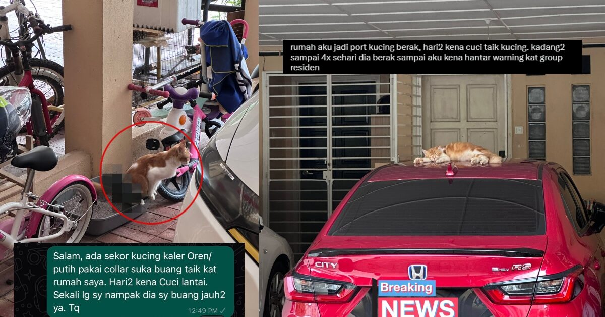 Rumah Jadi Port Tinggalkan 'Harta' Oyen Milik Jiran, Solusi Lelaki Ini Buat Cuit Hati Netizen