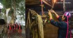 Sangat Dihormati Dalam Masyarakat Bidayuh, Ketahui Apakah Peranan Penting 'Dayung Borih'