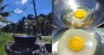 Selamba Masak Telur Bawah Matahari, 'Eksperimen' Wanita Dari Sabah Ini Curi Tumpuan Netizen