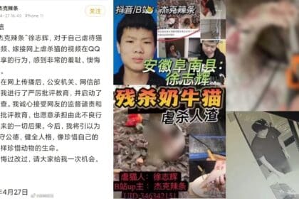 [VIDEO] Kejam! Tular Video 'Blender' Anak Kucing Di Laman Sosial Undang Geram Netizen
