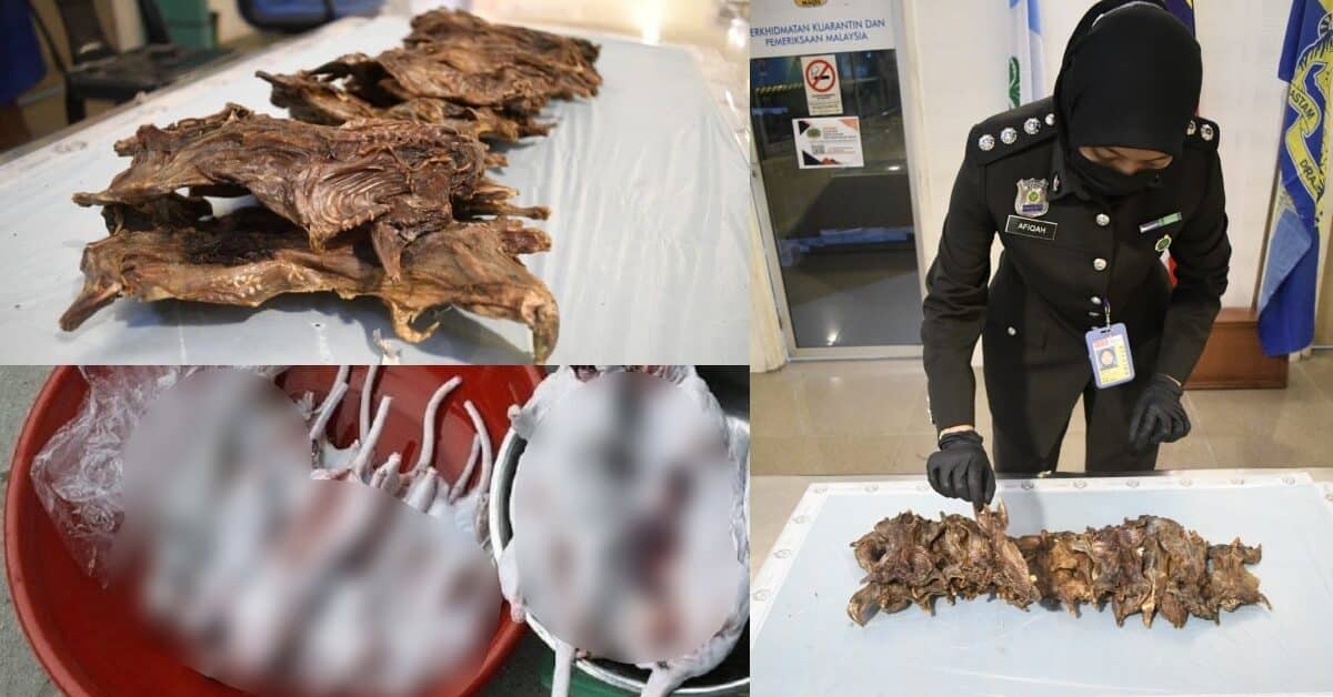 Warga Vietnam Cuba Seludup Masuk Tikus Salai Ke Dalam Malaysia Berjaya Ditumpas