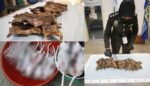 Warga Vietnam Cuba Seludup Masuk Tikus Salai Ke Dalam Malaysia Berjaya Ditumpas