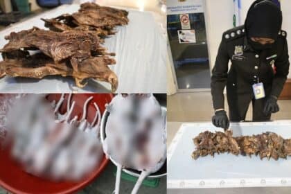 Warga Vietnam Cuba Seludup Masuk Tikus Salai Ke Dalam Malaysia Berjaya Ditumpas