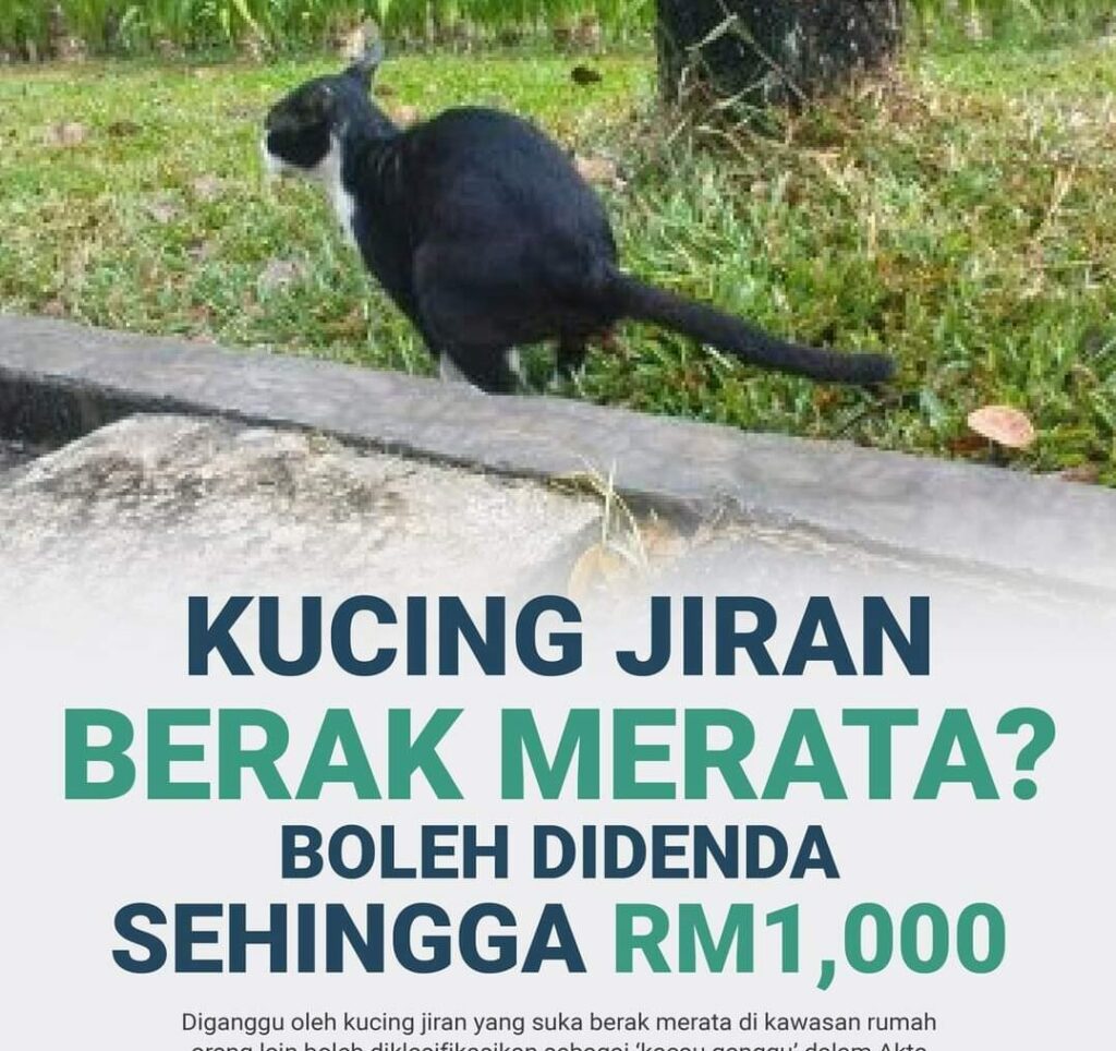 Kucing Jiran Berak Merata, Ketahui Bahawa Pemilik Boleh Dikenakan Saman